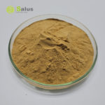 Agrocybe Cylindracea Extract