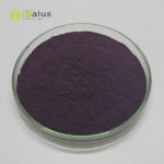 Aronia Chokeberry Extract