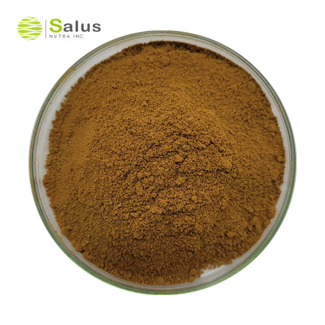 Bacopa Monniera Extract