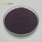 Black Currant Extract