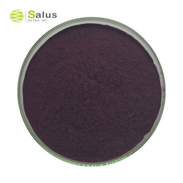 Black Currant Extract