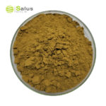 Echinacea Purpurea Extract