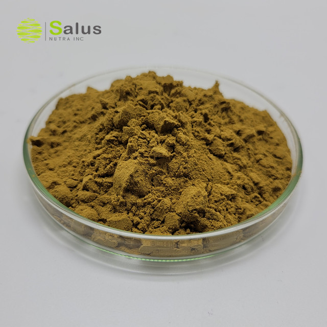 Echinacea Purpurea Extract