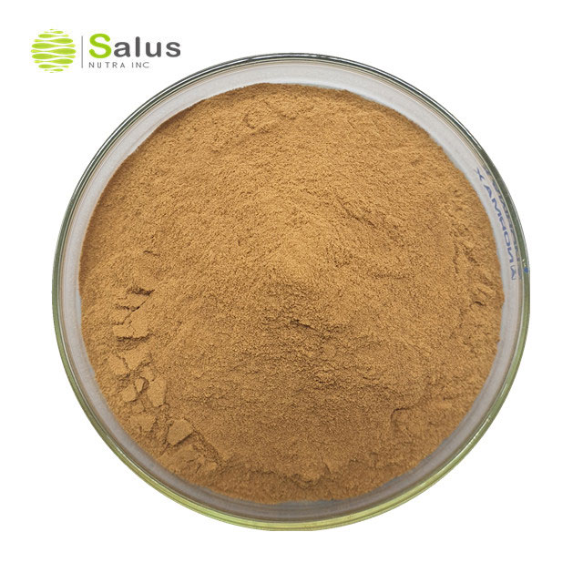 Gotu Kola Extract