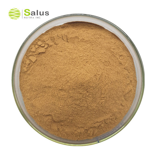 Gotu Kola Extract