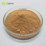 Gotu Kola Extract