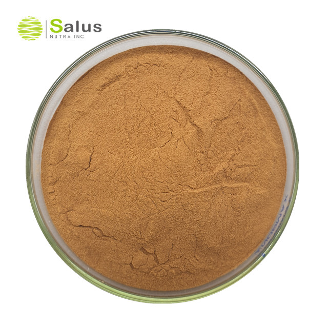 Maca Root Extract