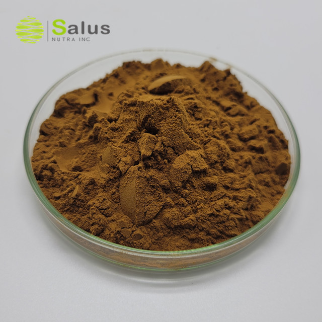 Phellinus Igniarius Extract