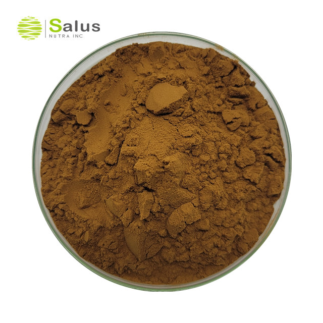 Phellinus Igniarius Extract