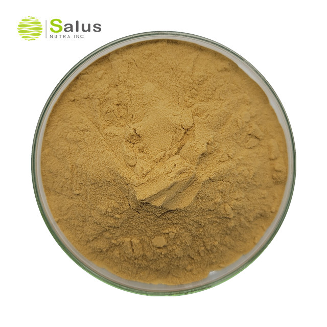 Polyporus Umbellatus Extract