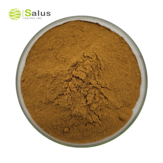 Schisandra Chinesis Extract