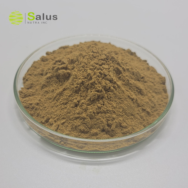 Siberian Ginseng Extract