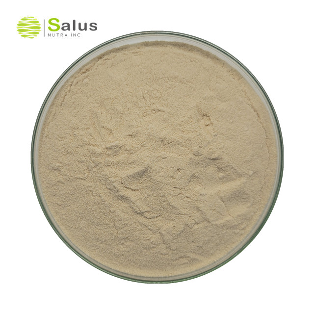 Aframomum Melegueta Extract