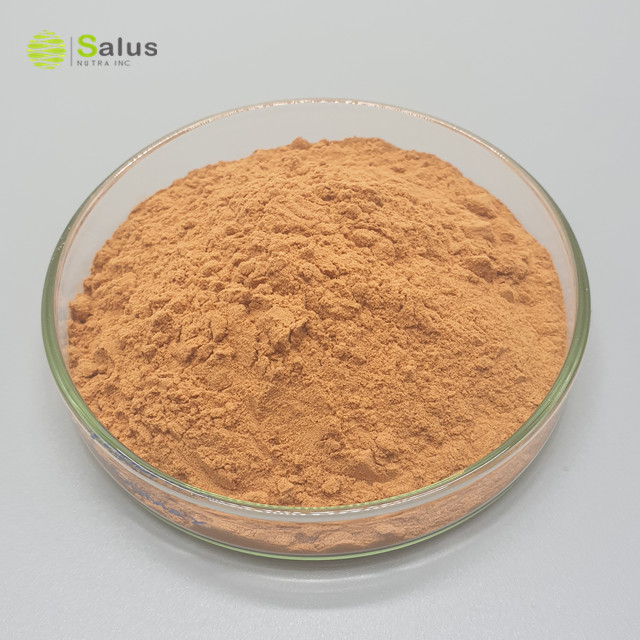 Cinnamon Bark Extract