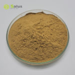 Coleus Forskohlii Extract