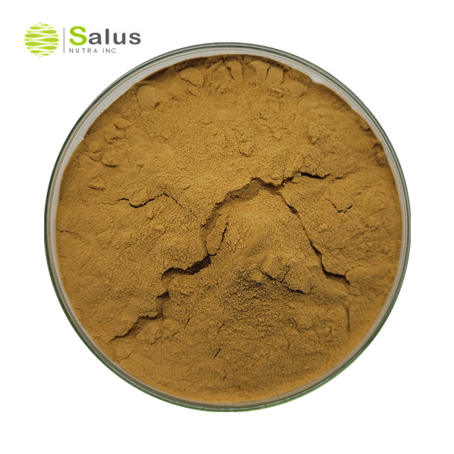 Lotus Leaf Extract