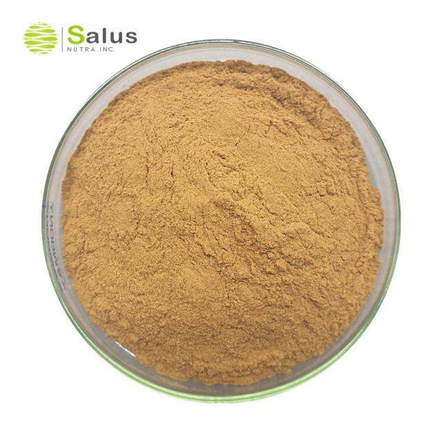 Mulberry Leaf Extract