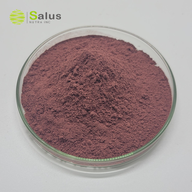 Red Yeast Rice Extract