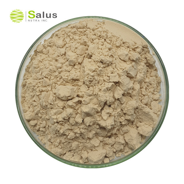 Sodium Carboxymethyl Beta Glucan