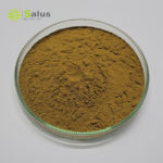 Gymnema Sylvestre Extract