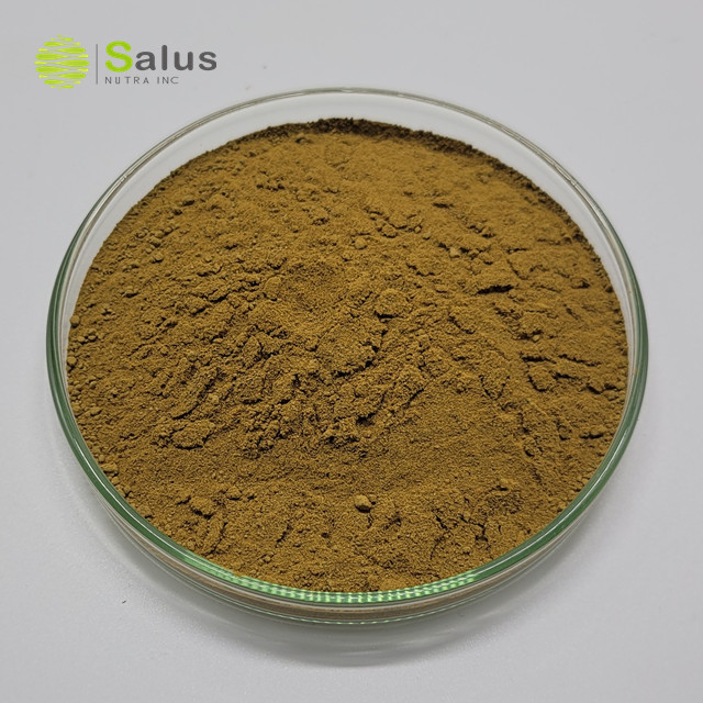 Gymnema Sylvestre Extract